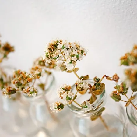 Calme Boutique - Adults Only 5*