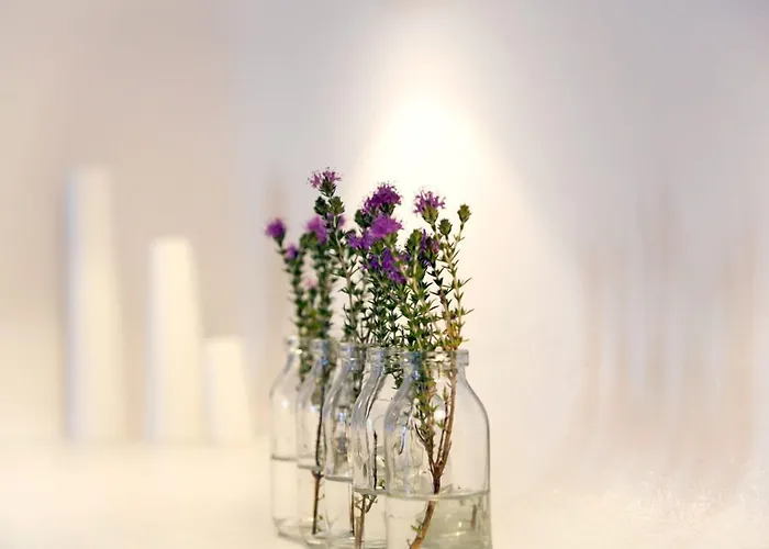 Hotel Calme Boutique - Adults Only