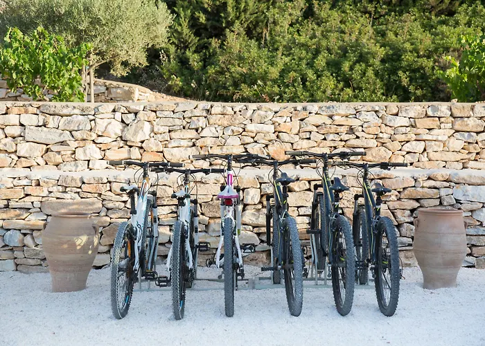 Calme Boutique - Adults Only Drios